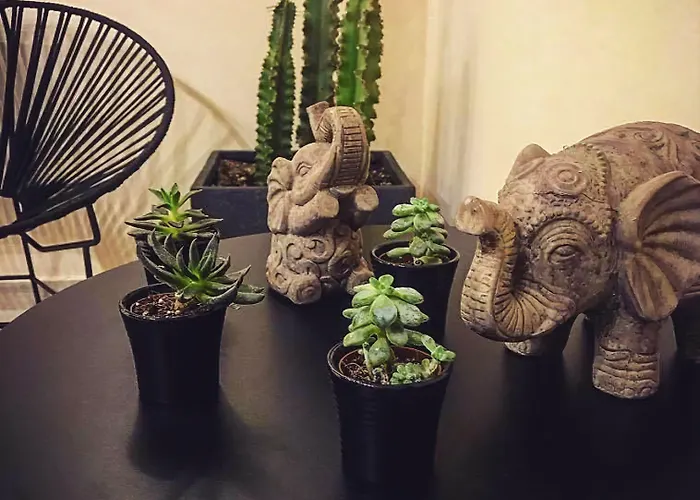 Perla Nera * 산토리니